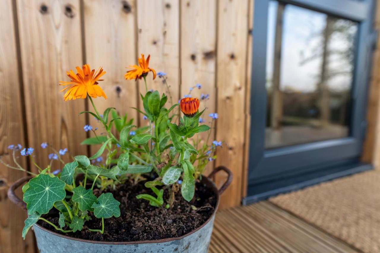 Luxury Glamping Cabin With Outdoor Bath On Cornish Flower Farm 트루로 외부 사진